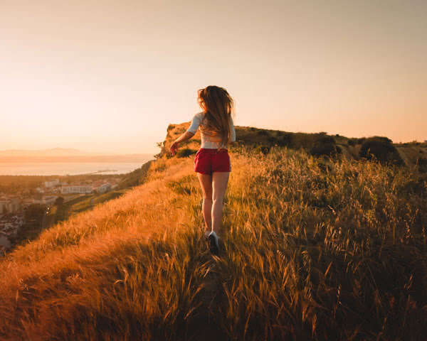 wild-run